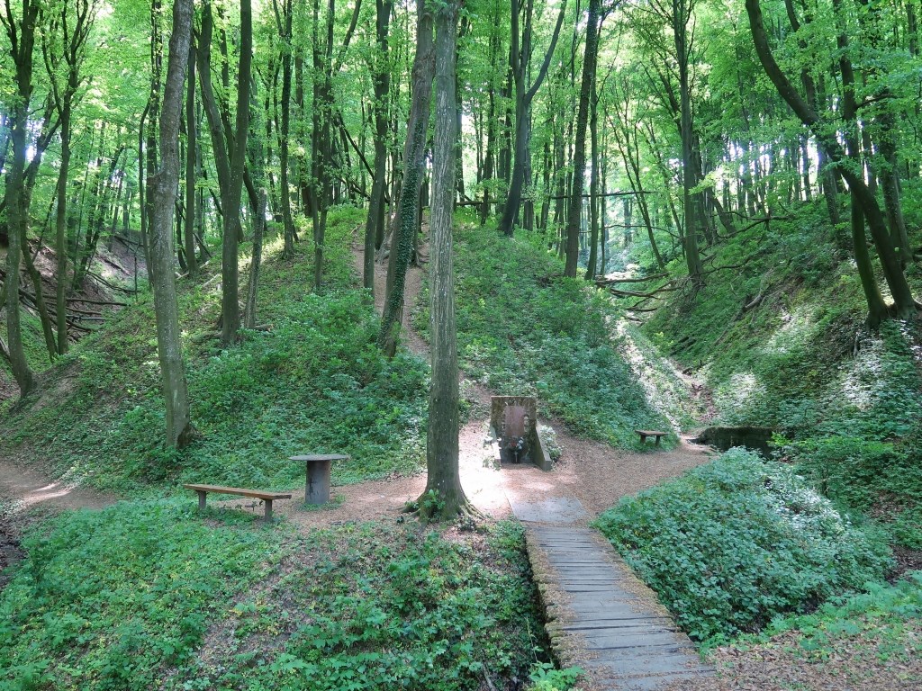 AquaTherm Hotel*** Ausflugsziele Nagybakónak-Schlucht, Esperanto-Quelle