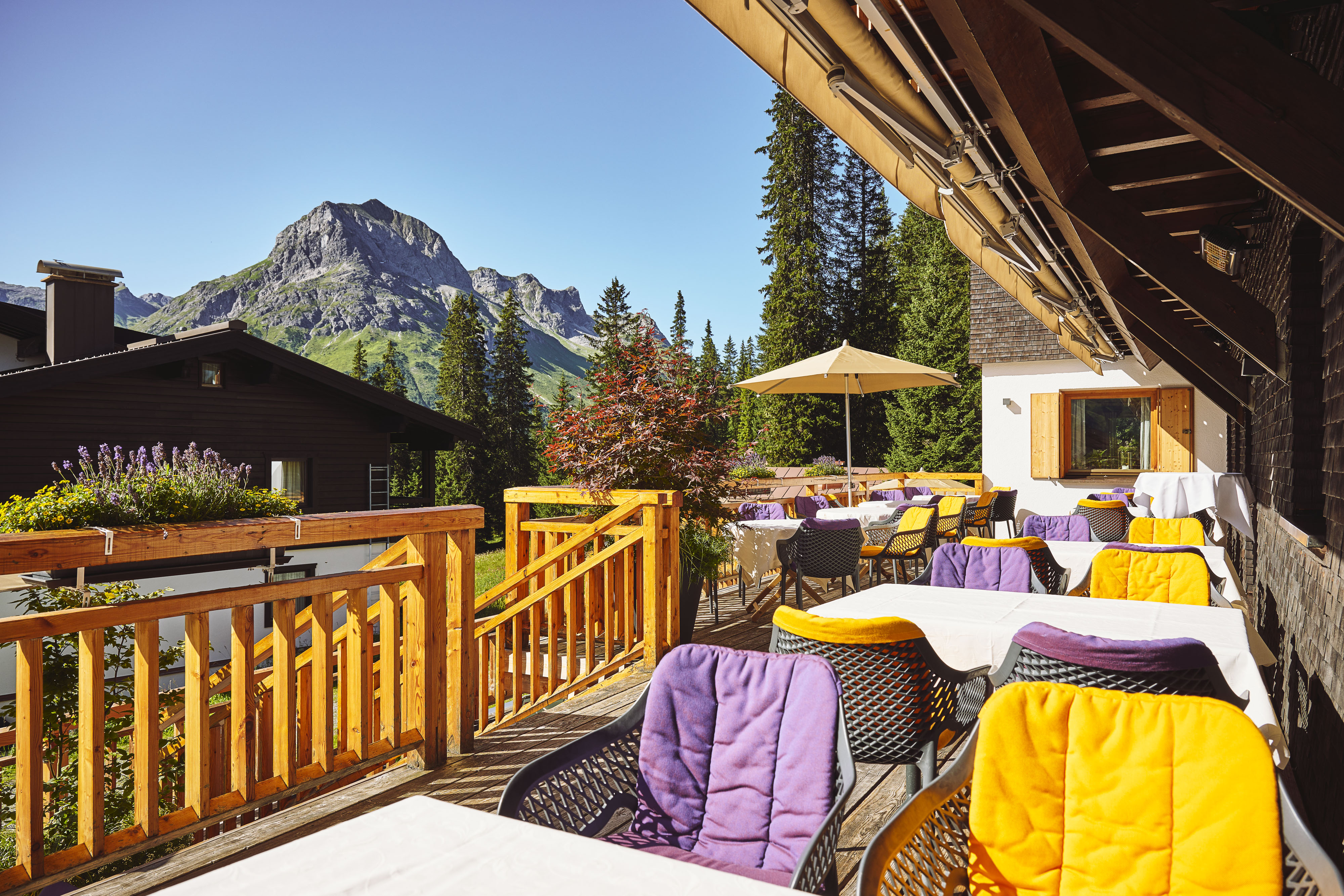 Urlaub-mit-Hund: Petersboden: so grün, so wunderbar - Sporthotel Petersboden & Chalet Hohe Welt - luxury apartments Oberlech