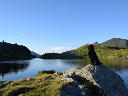 Hundehotel - Tauplitz - Gary am Krummschnabelsee - Hotel Wohlfühlpension Gell und Appartements