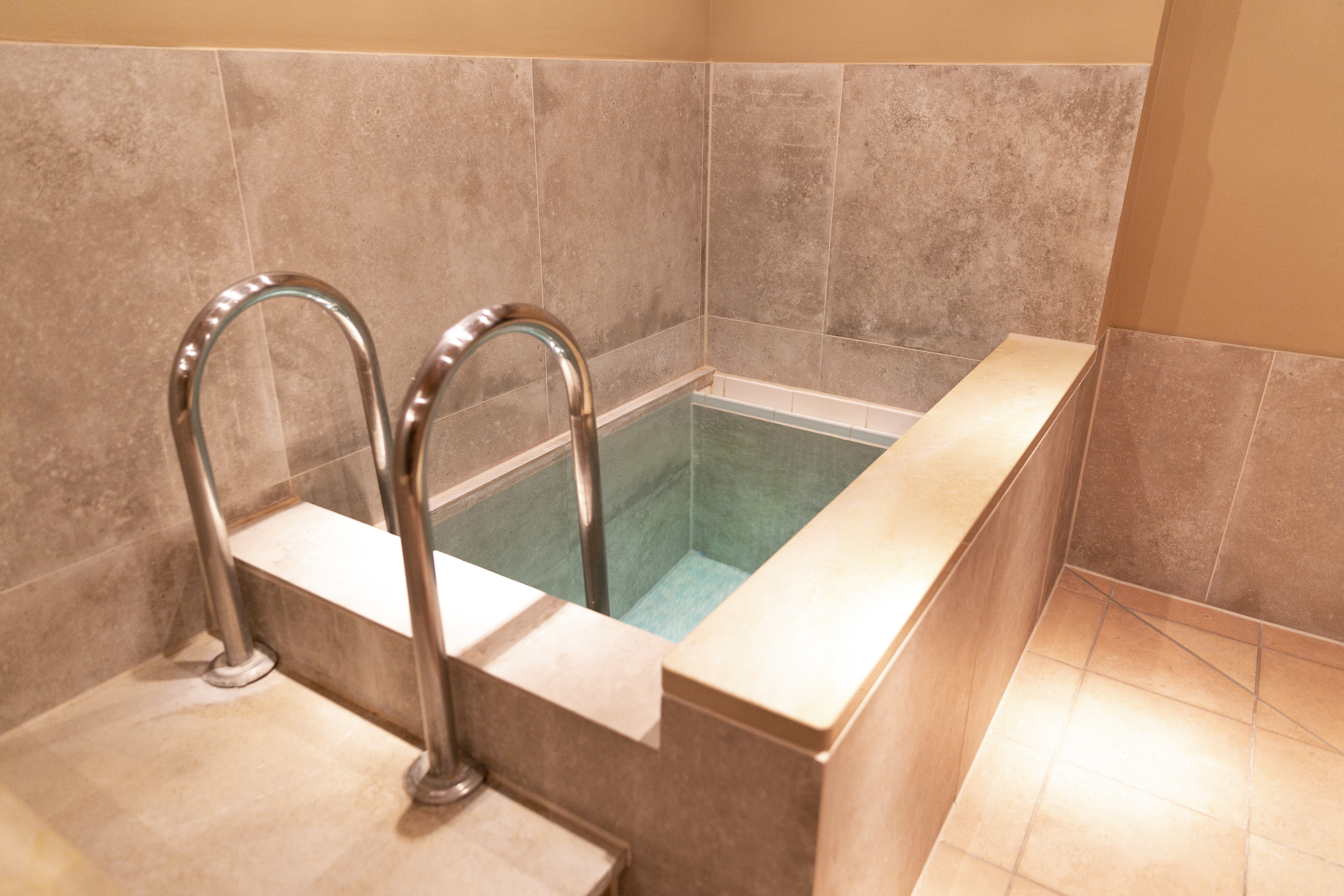 Urlaub-mit-Hund: Eisbad - Landgasthof Karner