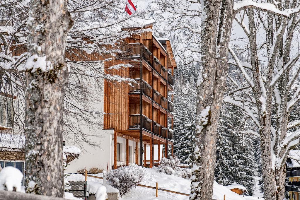 Hundehotel - Preisniveau: moderat - Schladming - Ramsauhof im Winter - Ramsauhof