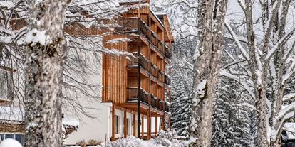 Hundehotel - Tauplitz - Ramsauhof im Winter - Ramsauhof