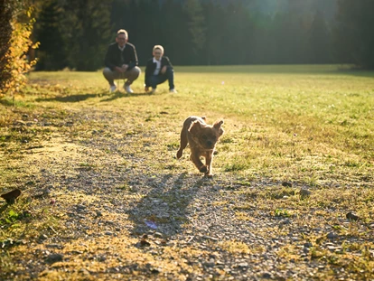 Hundehotel - Pools: Schwimmteich - Familie Rödlach mit Hund Tina - Adults only Alpenhotel Karwendel