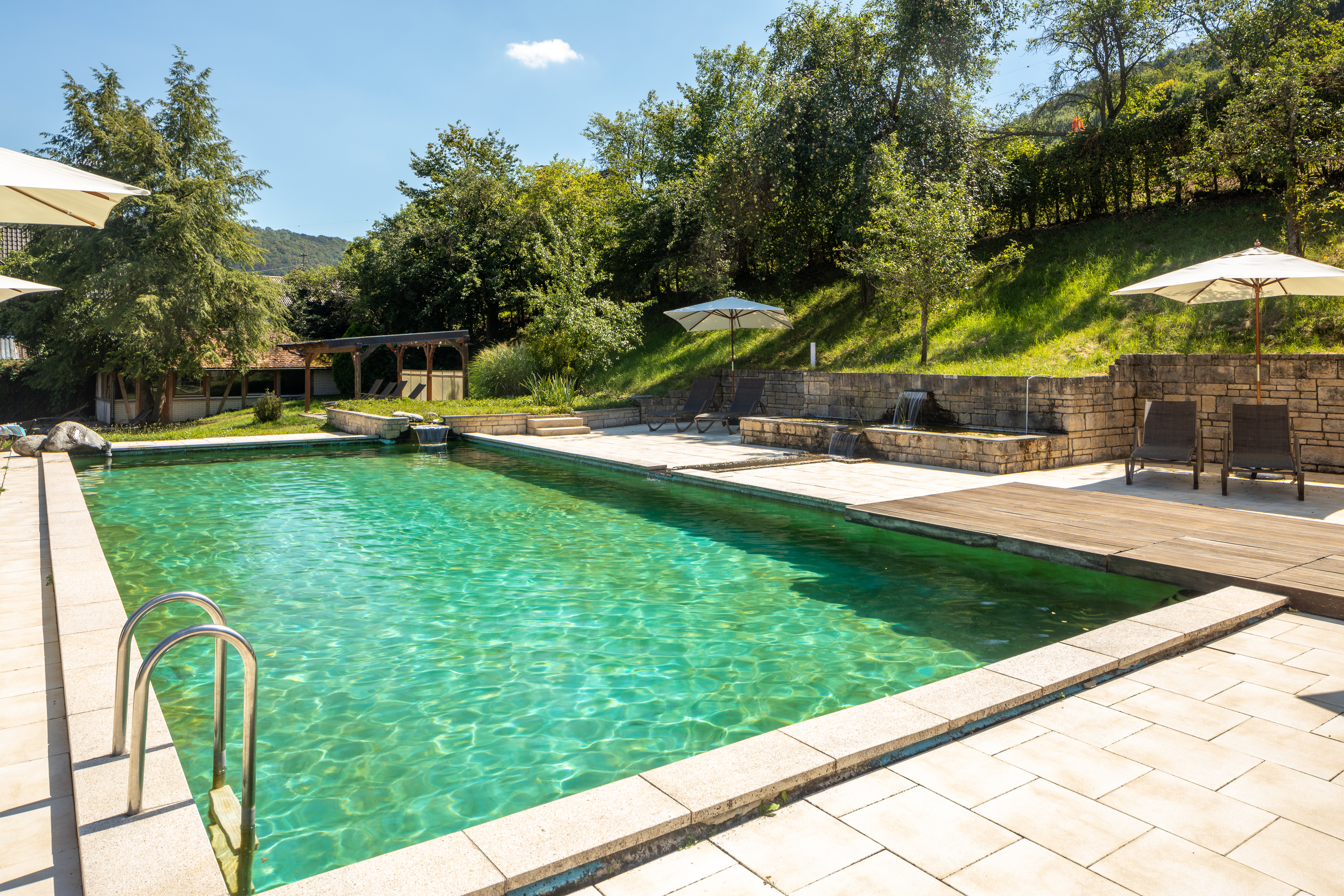 Hundehotel - Baden-Württemberg - Hotel Schloss Döttingen 