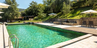 Hundehotel - Pools: Schwimmteich - Hotel Schloss Döttingen