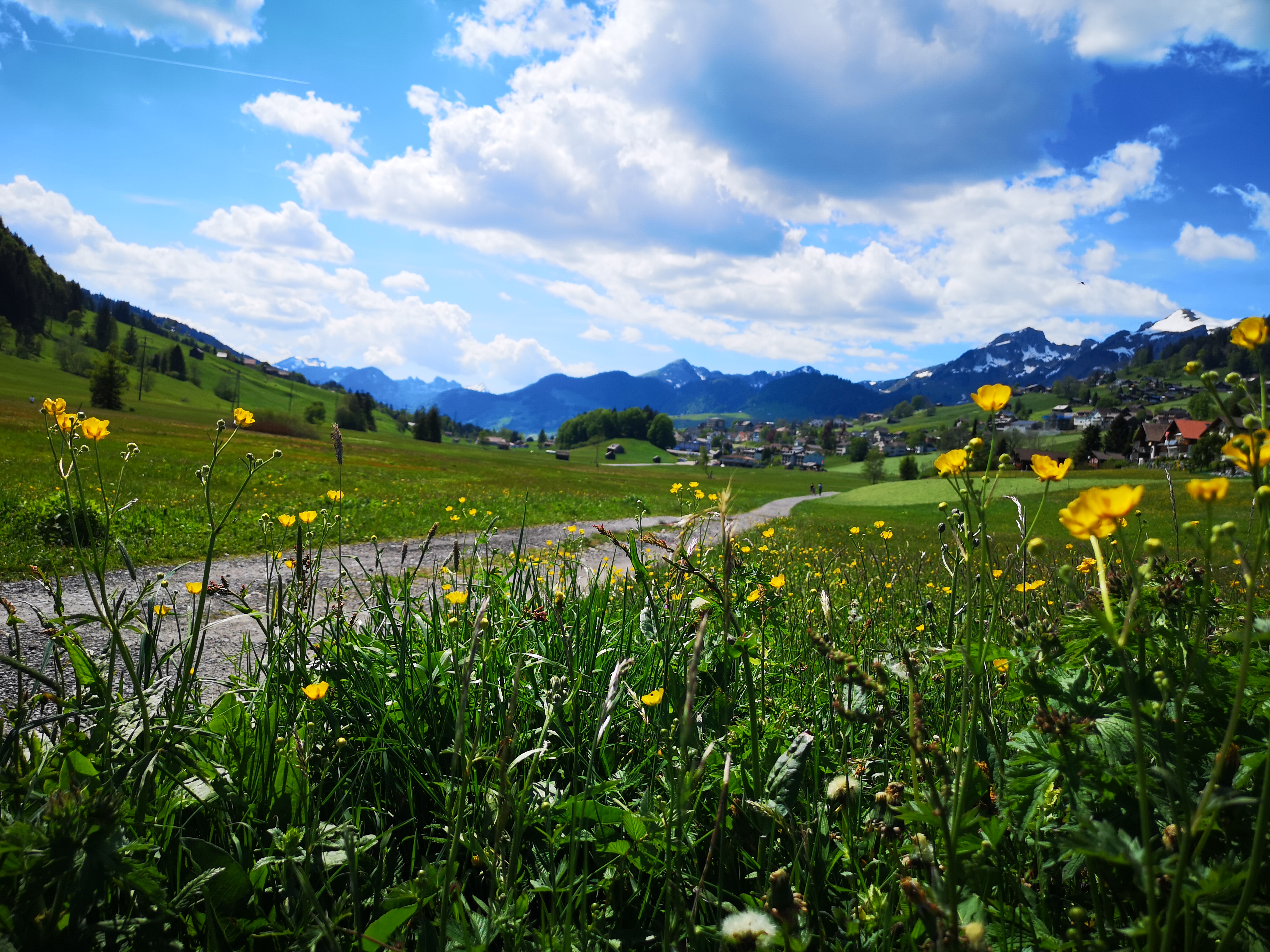 Hotel Gasthaus Friedegg B&B Ausflüge mit Hund Munzenriet