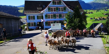 Hundehotel - PLZ 8514 (Schweiz) - Gasthaus Friedegg - herrlich traditionell - Hotel Gasthaus Friedegg B&B