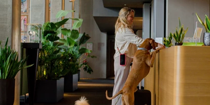 Hundehotel - PLZ 55232 (Deutschland) - b'mine Frankfurt Airport