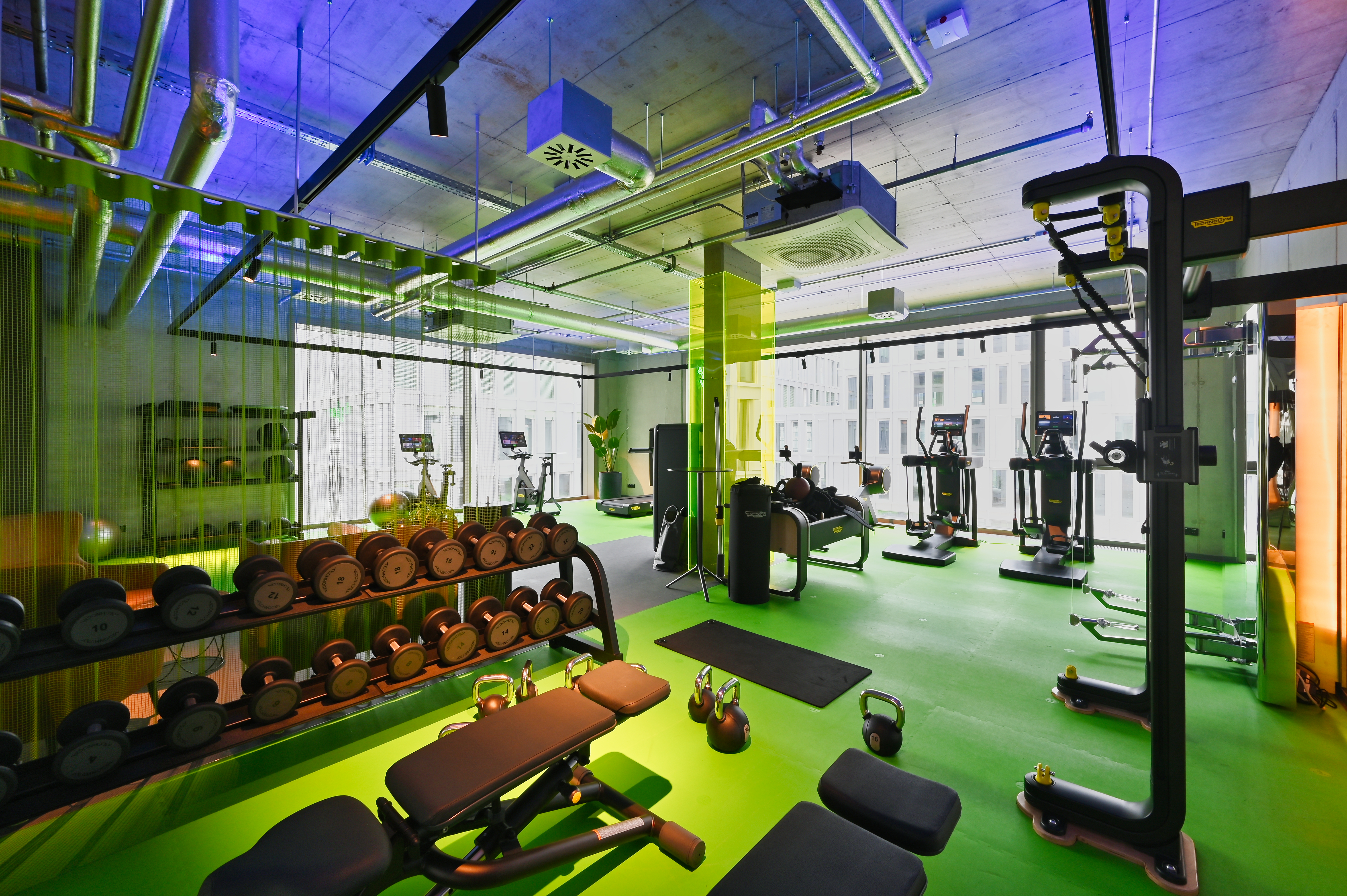 Urlaub-mit-Hund: b'mine Frankfurt Airport