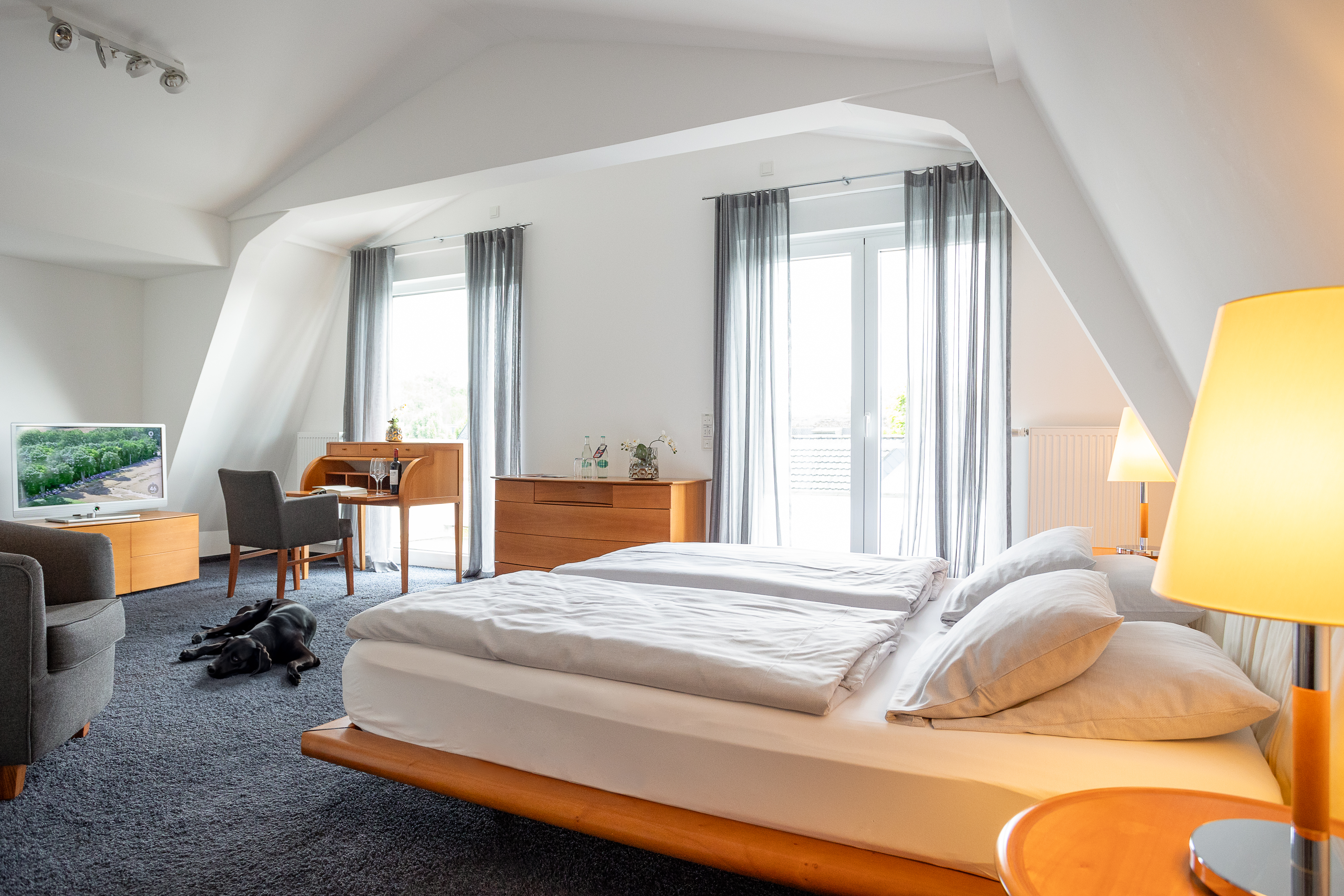 Hundehotel - Hund im Restaurant erlaubt - Nordrhein-Westfalen - &REPEAT Köln Airport