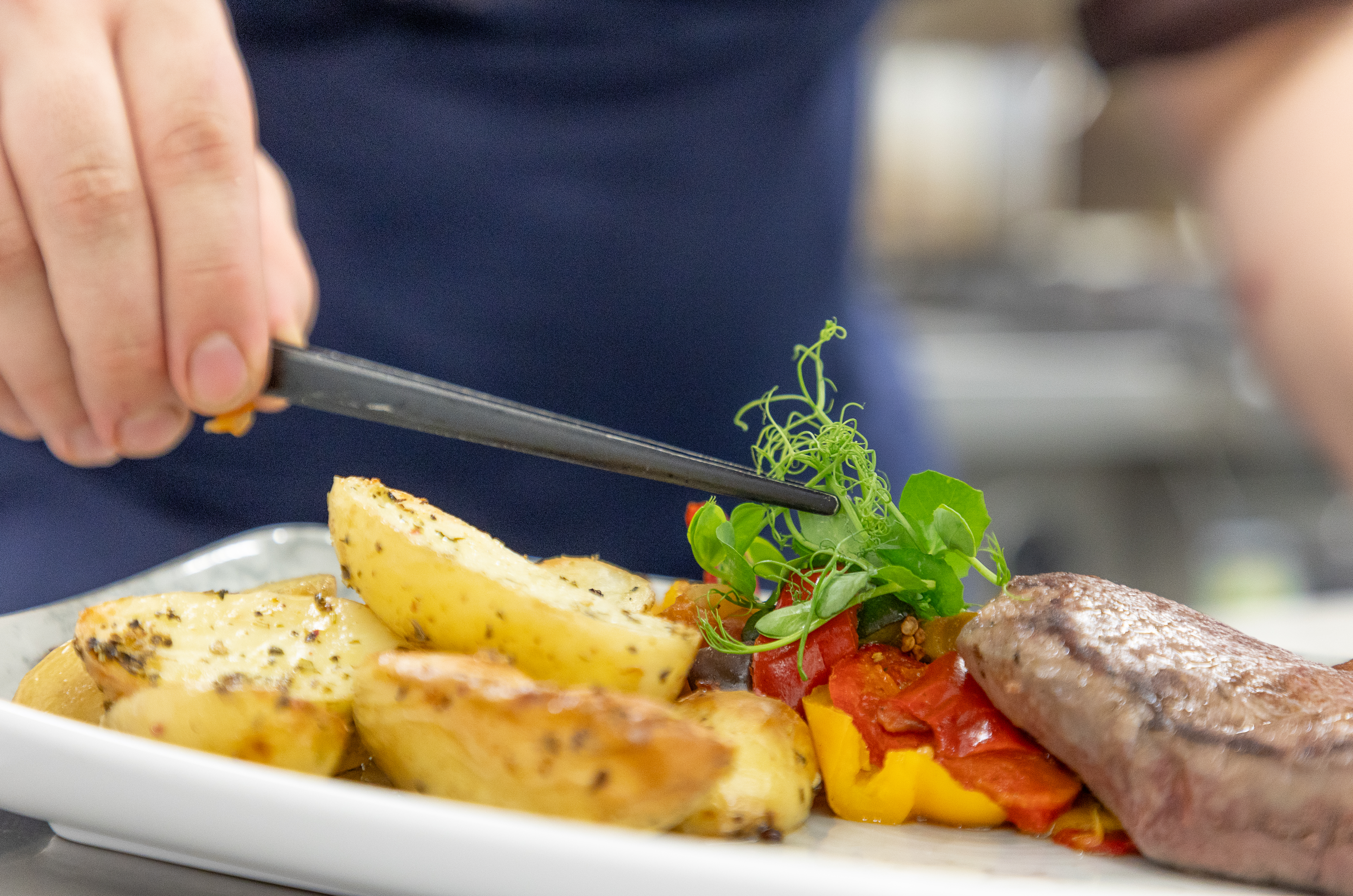 Urlaub-mit-Hund: &REPEAT Köln Airport