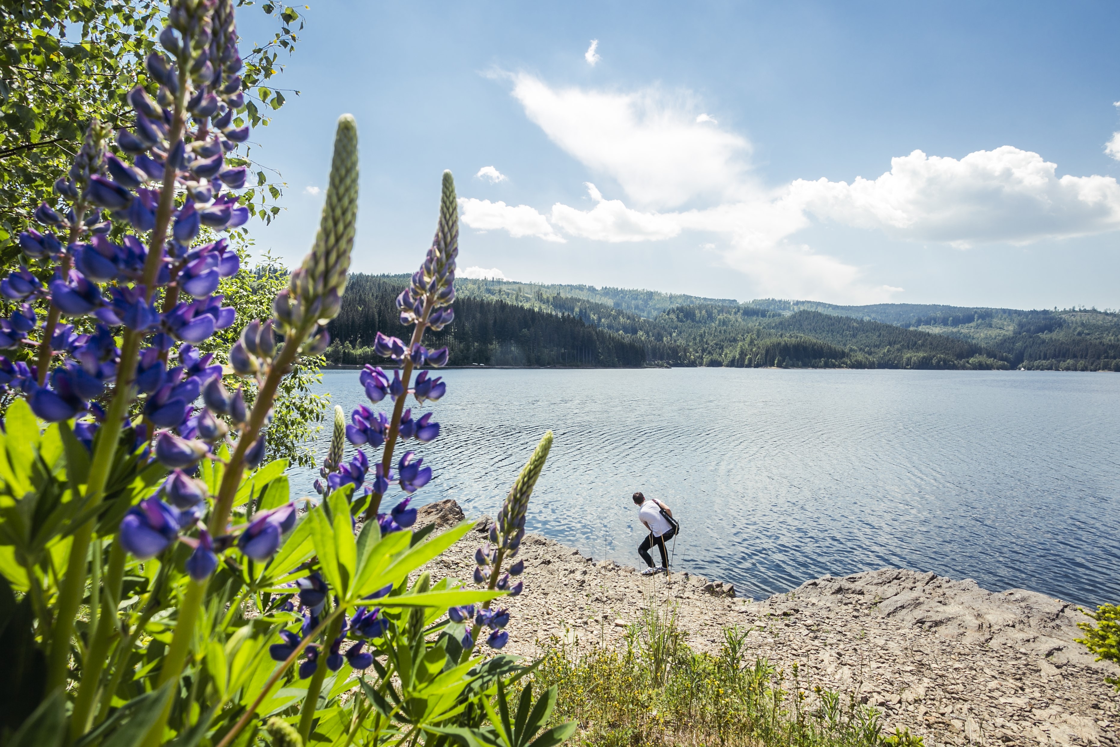 Am Wildbachberg Ausflüge mit Hund Soboth Stausee