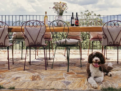 Hundehotel - Unterkunftsart: Ferienhaus - Deutschlandsberg - Gemeinschaftstisch im Garten - Am Wildbachberg