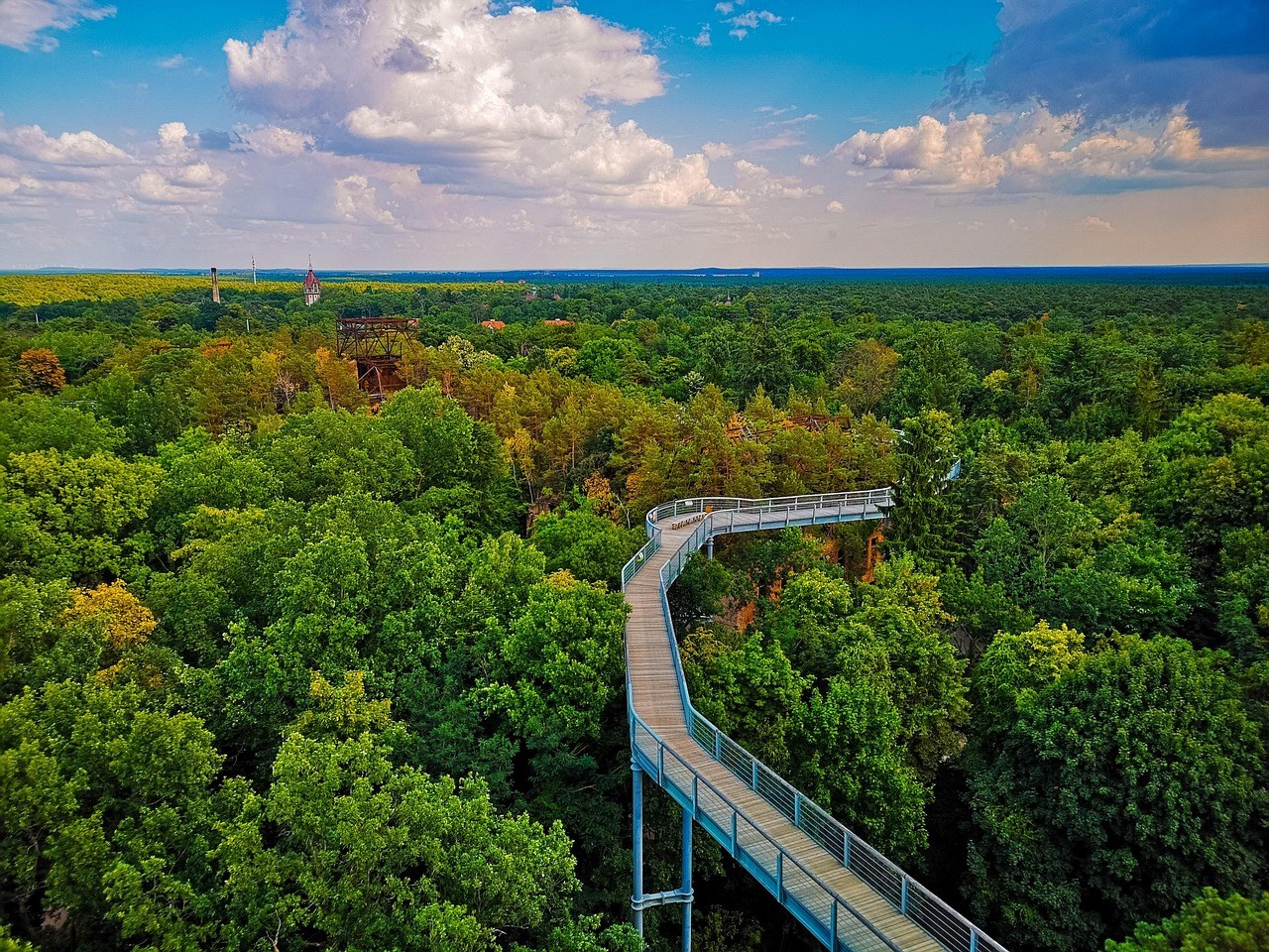 Natur & Wellness Haus Oase Ausflugsziele Baumkronenpfad Beelitz Heilstätten