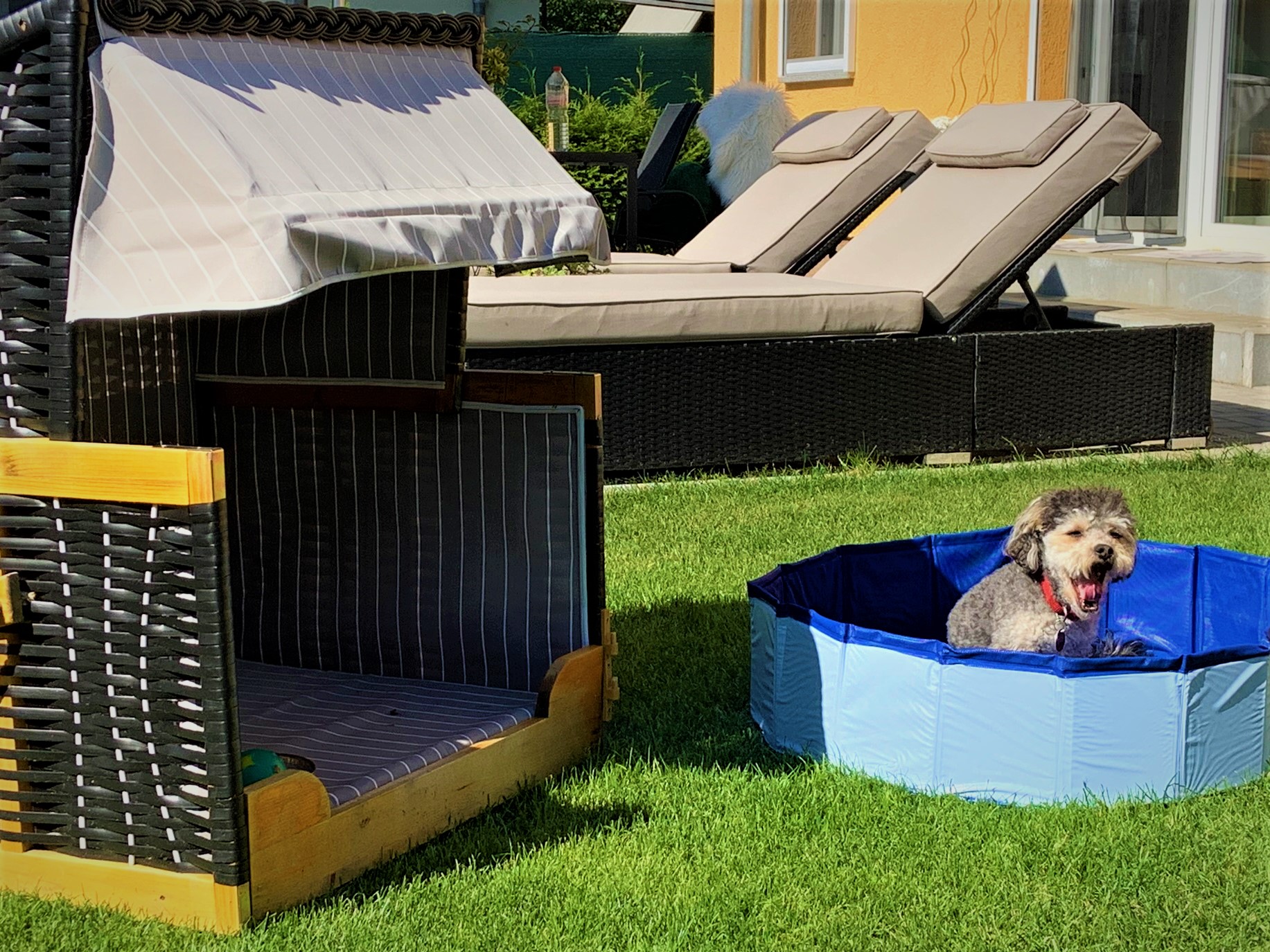 Urlaub-mit-Hund: Wau Wau Beach unf Hundebademäntel
Fellnasenstrandkorb - Natur & Wellness Haus Oase - Urlaub mit Hund