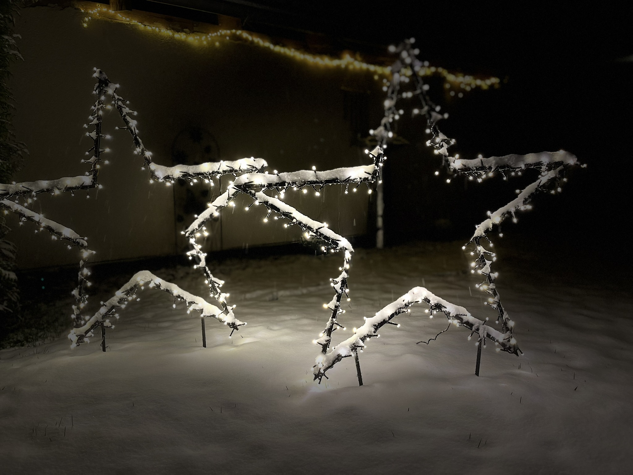 Urlaub-mit-Hund: Natur & Wellness Haus Oase - Haus | Umgebung