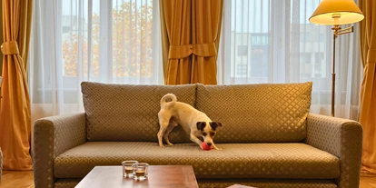 Hundehotel - barrierefrei - Brandenburg Süd - Louisa's Place Hotel Berlin