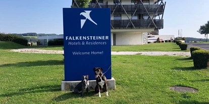 Hundehotel - Bad Leonfelden - Hunde lieben das Hotel - Falkensteiner Genuss & Wohlfühlhotel Mühlviertel