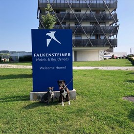 Urlaub-mit-Hund: Hunde lieben das Hotel - Falkensteiner Genuss & Wohlfühlhotel Mühlviertel