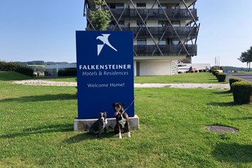 Urlaub-mit-Hund: Hunde lieben das Hotel - Falkensteiner Hotel & Spa Bad Leonfelden "Adults only"