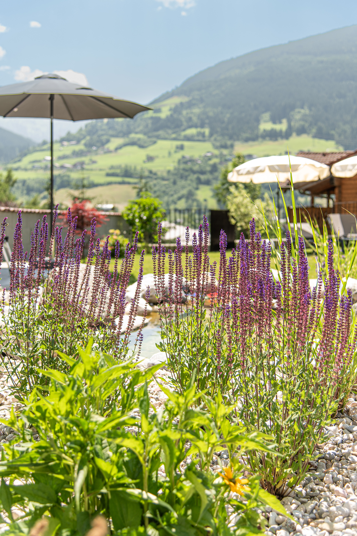 Hundehotel - Sankt Margarethen im Lungau - Ausblick Garten - Lieblingsplatzl