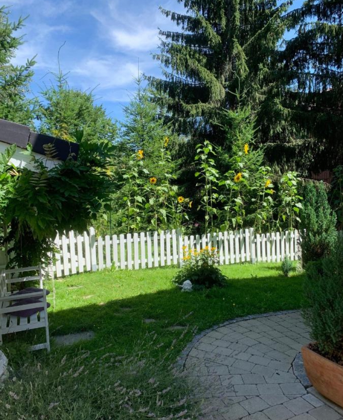 Hundehotel - Wiggensbach - AllgäuVilla ***** Scheidegg, Sonnenterrasse über dem Bodensee