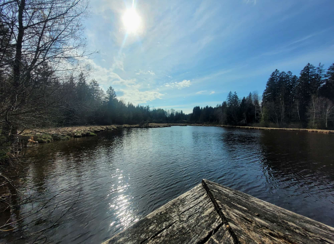 Urlaub-mit-Hund: AllgäuVilla ***** Scheidegg, Sonnenterrasse über dem Bodensee