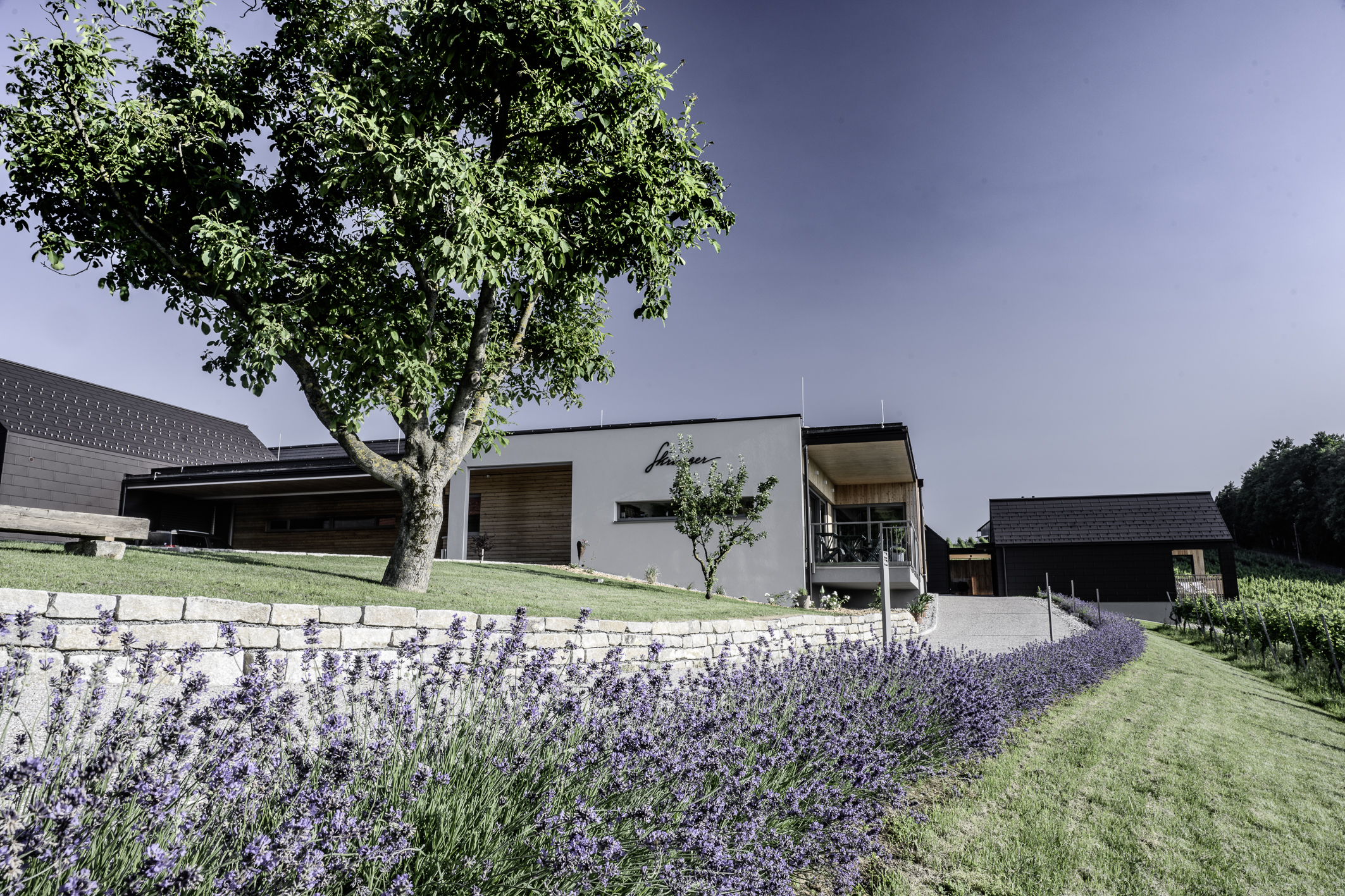 Ferienhaus mit Hund: Weingut & Winzerhäuser Skringer 