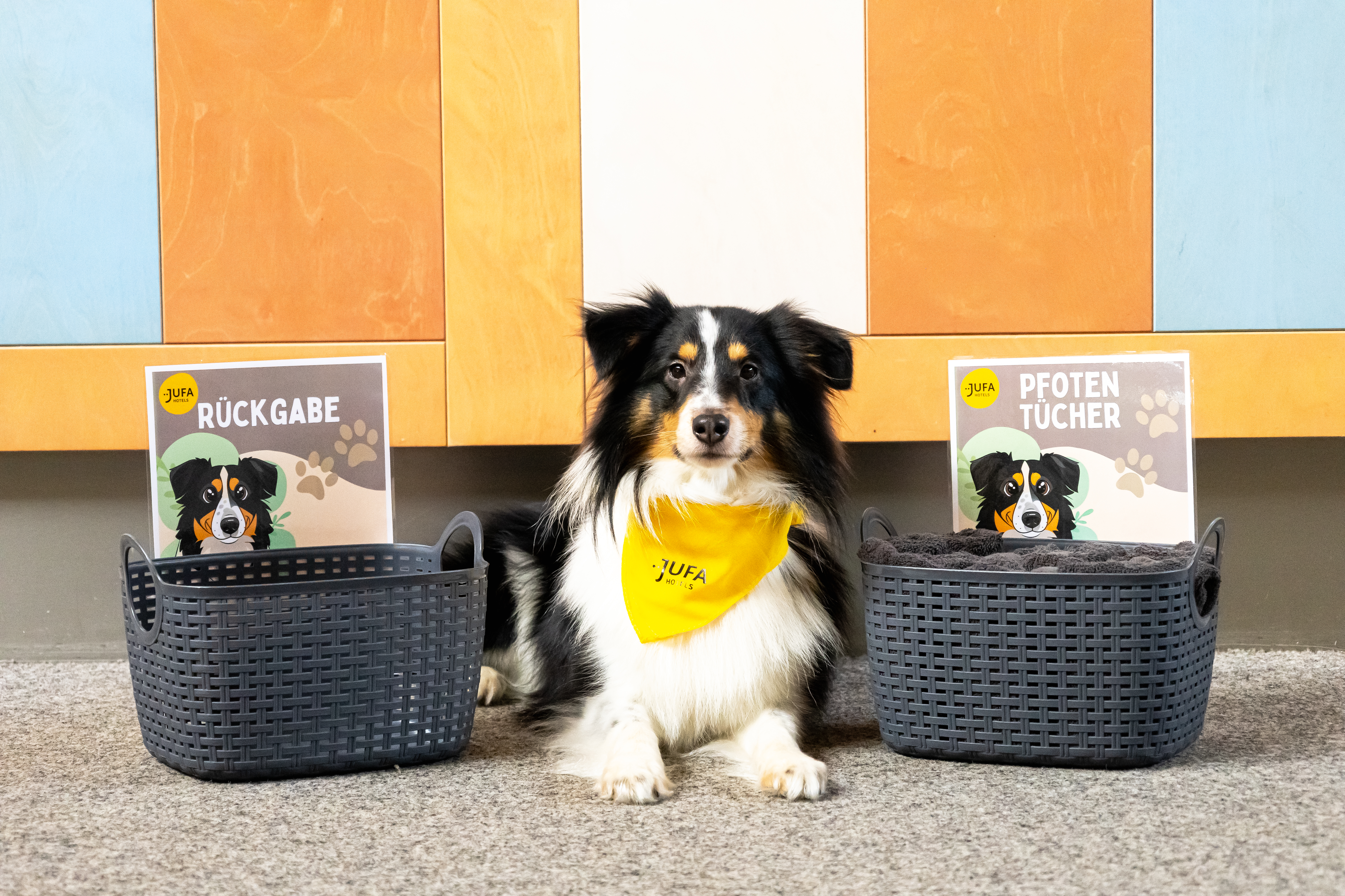 Hundehotel - Umgebungsschwerpunkt: Berg - Hochsteiermark - Hotelhund Bruno mit Pfotentüchern - JUFA Hotel Veitsch***