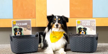 Hundehotel - Wellnessbereich - Kumberg - Hotelhund Bruno mit Pfotentüchern - JUFA Hotel Veitsch***