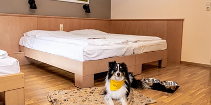 Hundehotel - Wellnessbereich - Kumberg - Hotelhund Bruno mit Hundedecke und Futter- und Wassernapf - JUFA Hotel Veitsch***