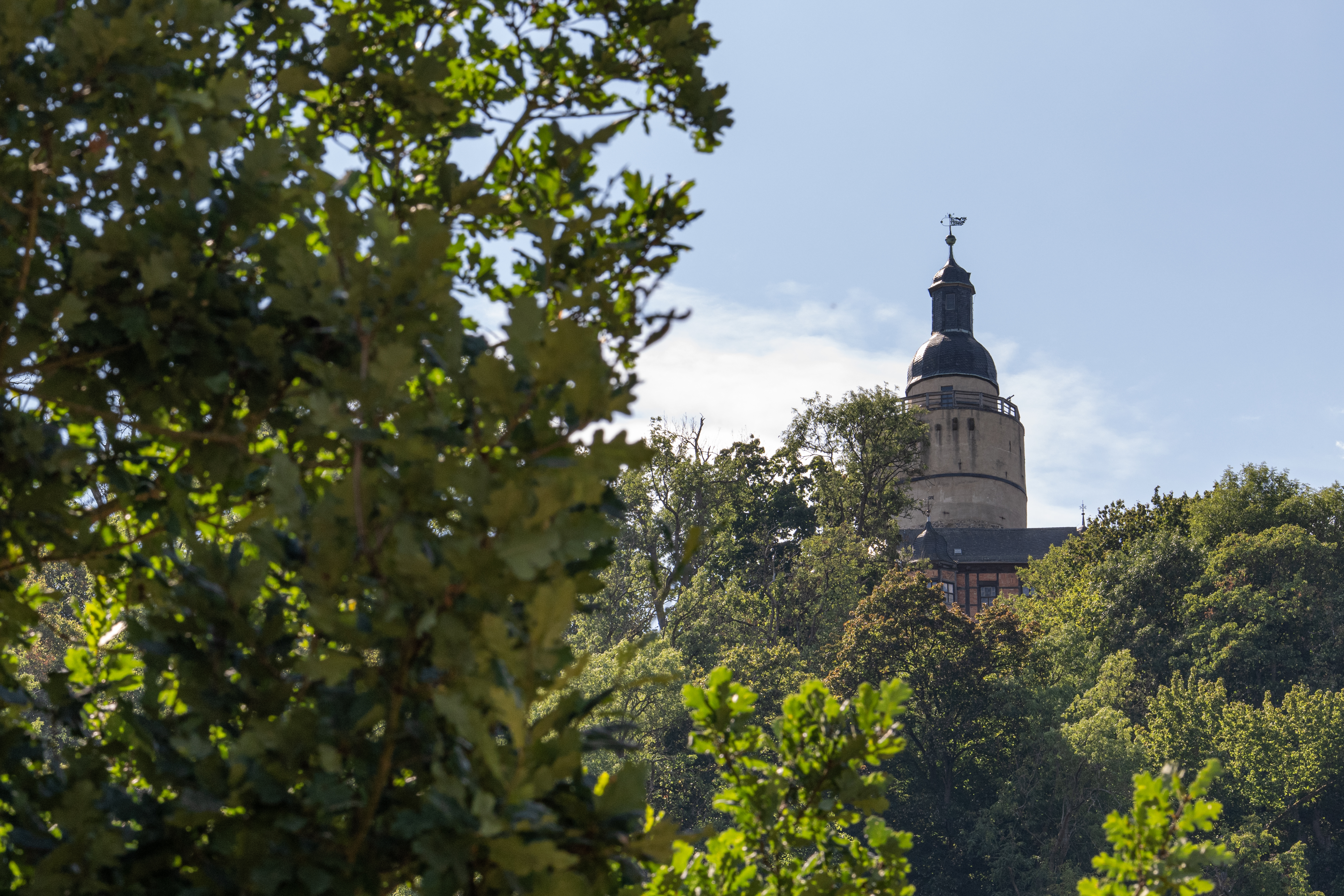 Hundehotel - Sachsen-Anhalt - Blick zur Burg - Thalmühle