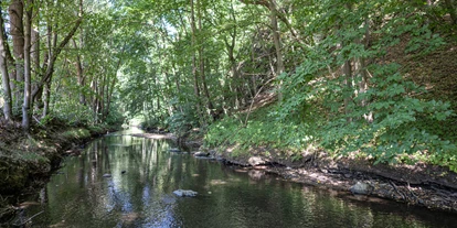 Hundehotel - Sachsen-Anhalt Süd - Selke von der Thalmühlenbrücke - Thalmühle