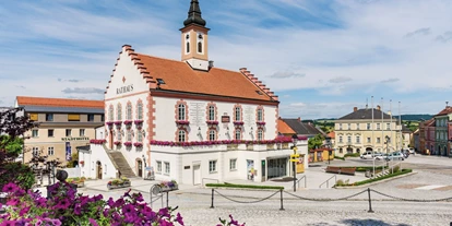 Hundehotel - Unterkunftsart: Hotel - Niederösterreich - Stadthotel Waidhofen an der Thaya