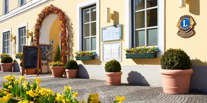 Hundehotel - Unterkunftsart: Hotel - Niederösterreich - Stern Hotel & Restaurant
