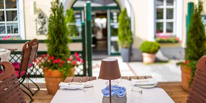 Hundehotel - Unterkunftsart: Hotel - Niederösterreich - Stern Hotel & Restaurant