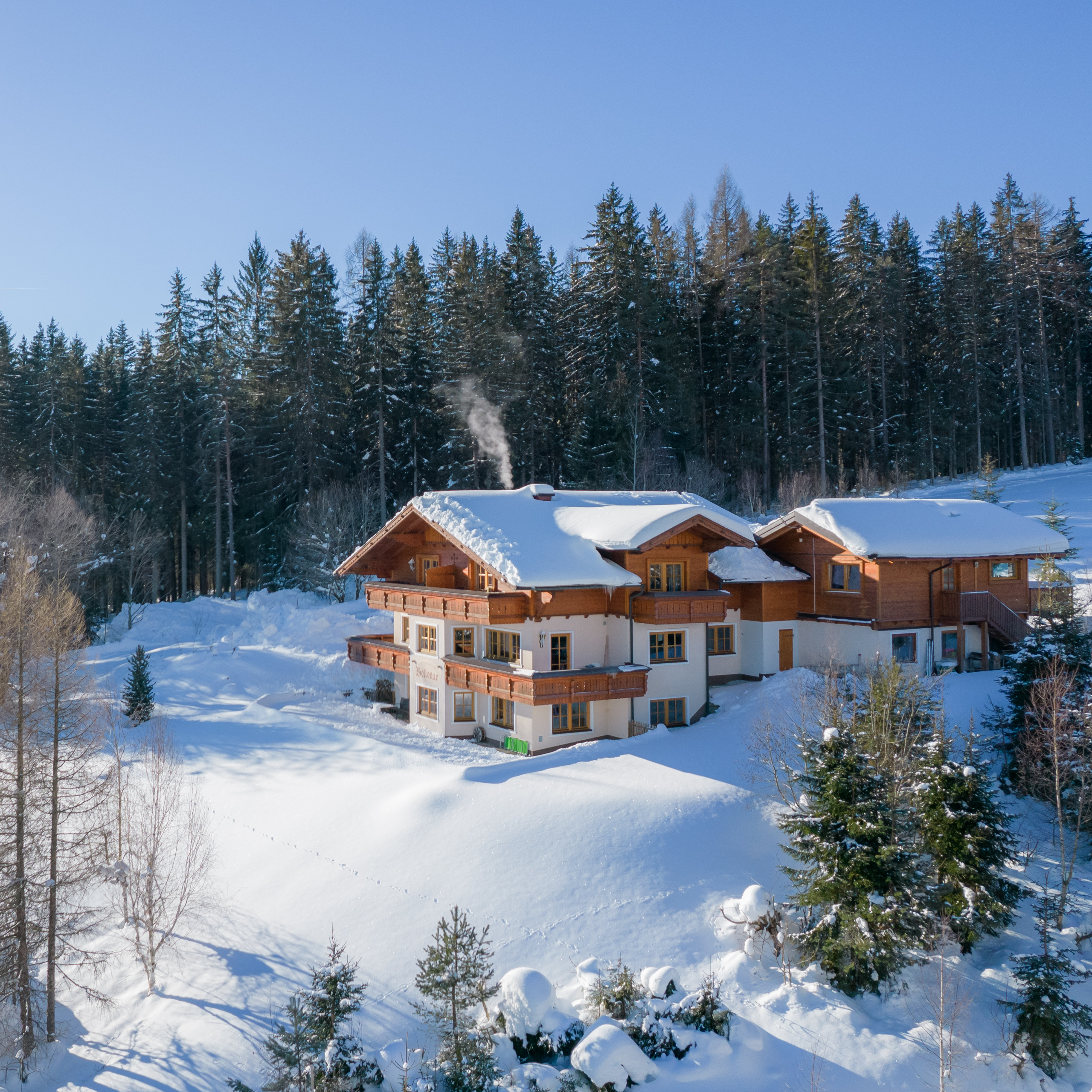 Hundehotel - Obertauern - Landhaus Bellevue