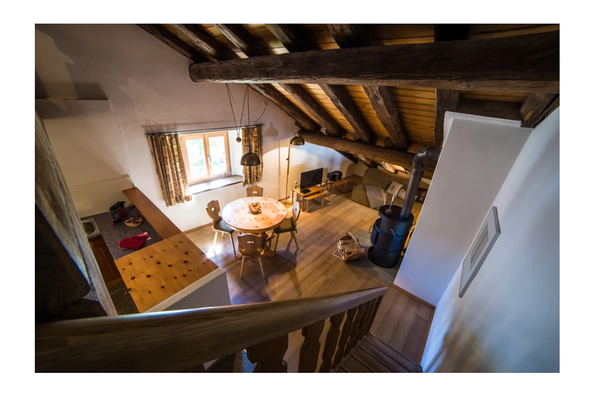 Ferienhaus mit Hund: Chesa Michel - Bever