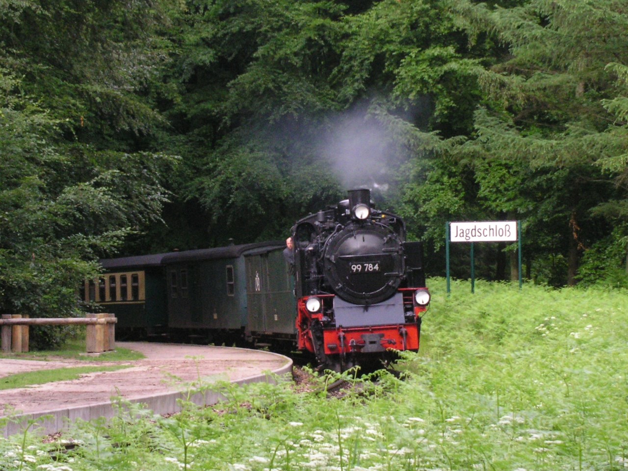 Familien- Gesundheitshotel Villa Sano Ausflüge mit Hund Rasender Roland