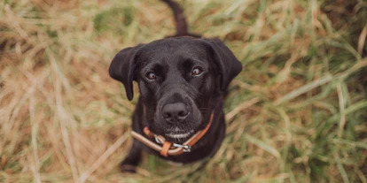 Hundehotel - Verpflegung: Halbpension - Mecklenburg-Vorpommern - Familien- Gesundheitshotel Villa Sano