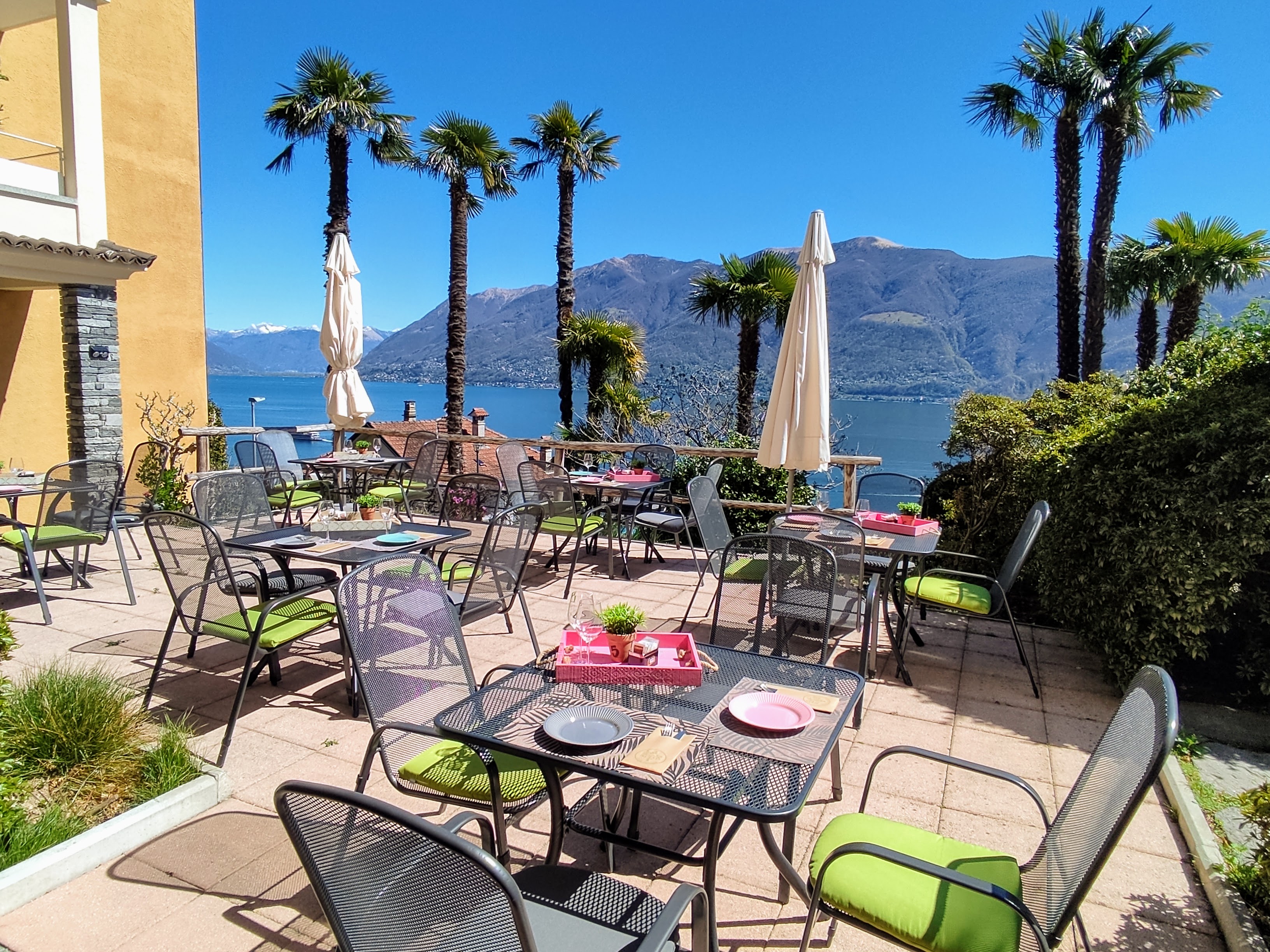 Hundehotel - Unterkunftsart: Hotel - Lago Maggiore - Terrasse - Garden Hotel Primavera - Garden Hotel Primavera