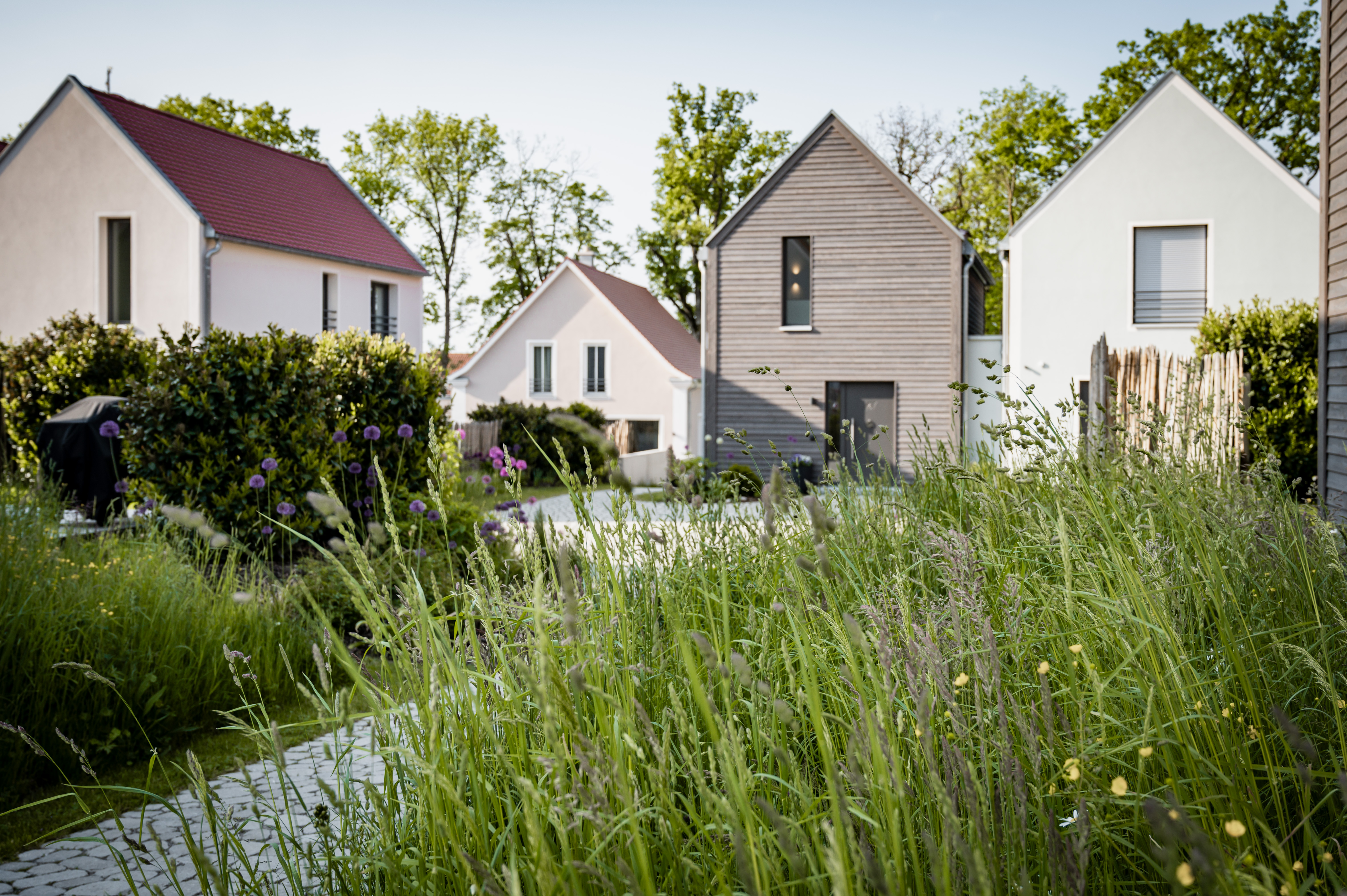 Urlaub-mit-Hund: Chaletdorf Büchelbergerei  - Haus | Umgebung