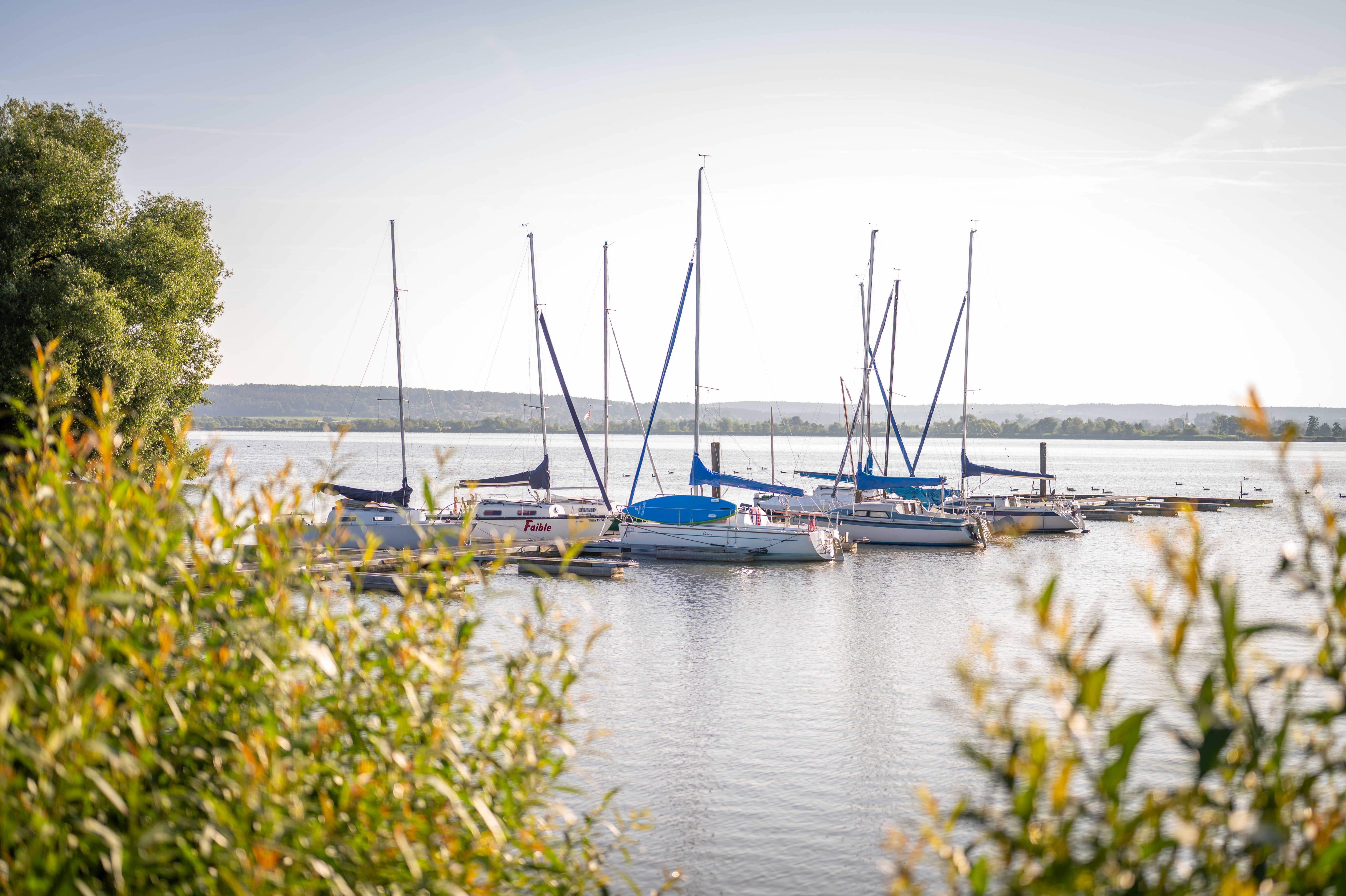 Urlaub-mit-Hund: Chaletdorf Büchelbergerei  - Haus | Umgebung