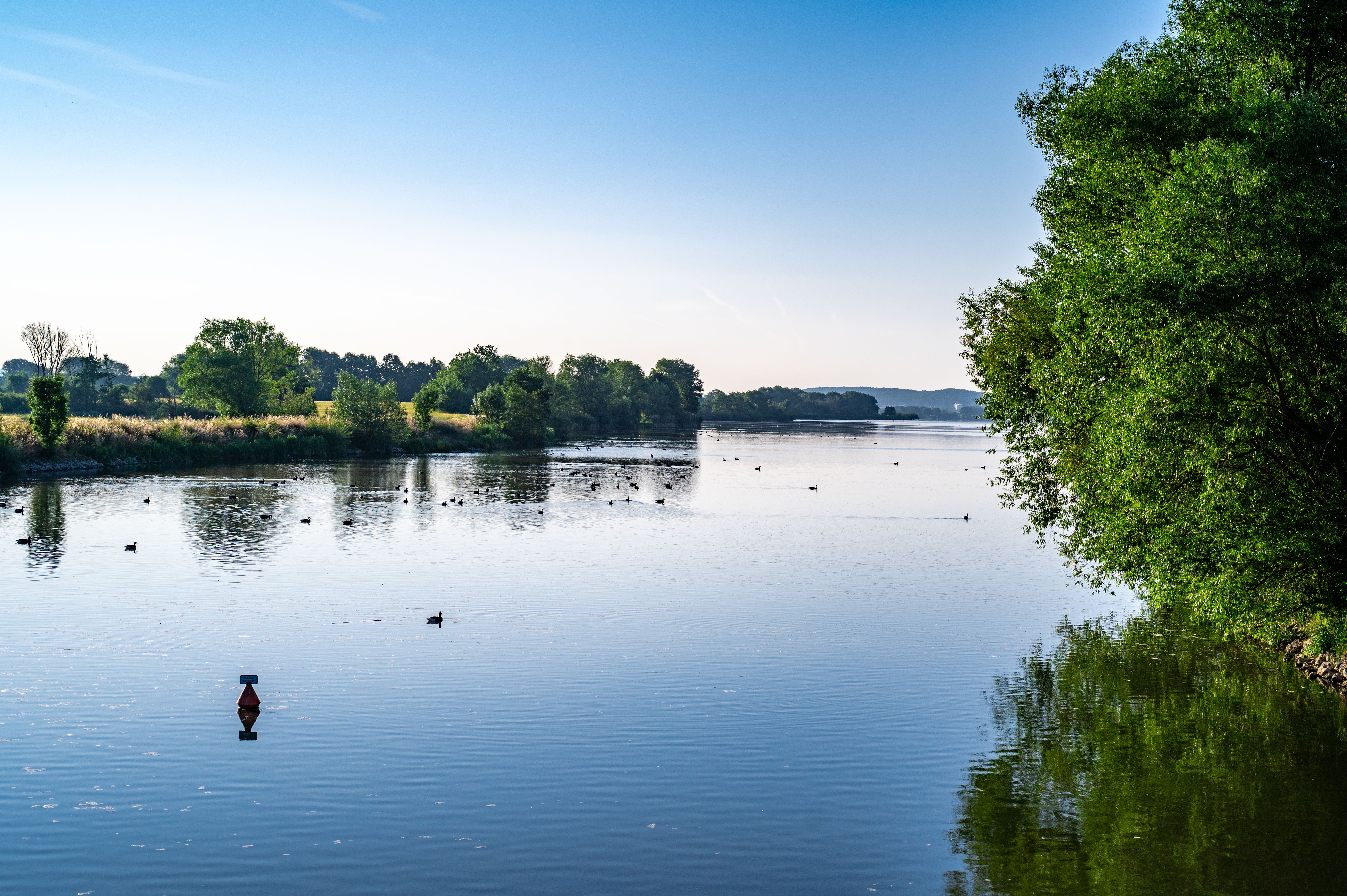 Urlaub-mit-Hund: Chaletdorf Büchelbergerei  - Haus | Umgebung