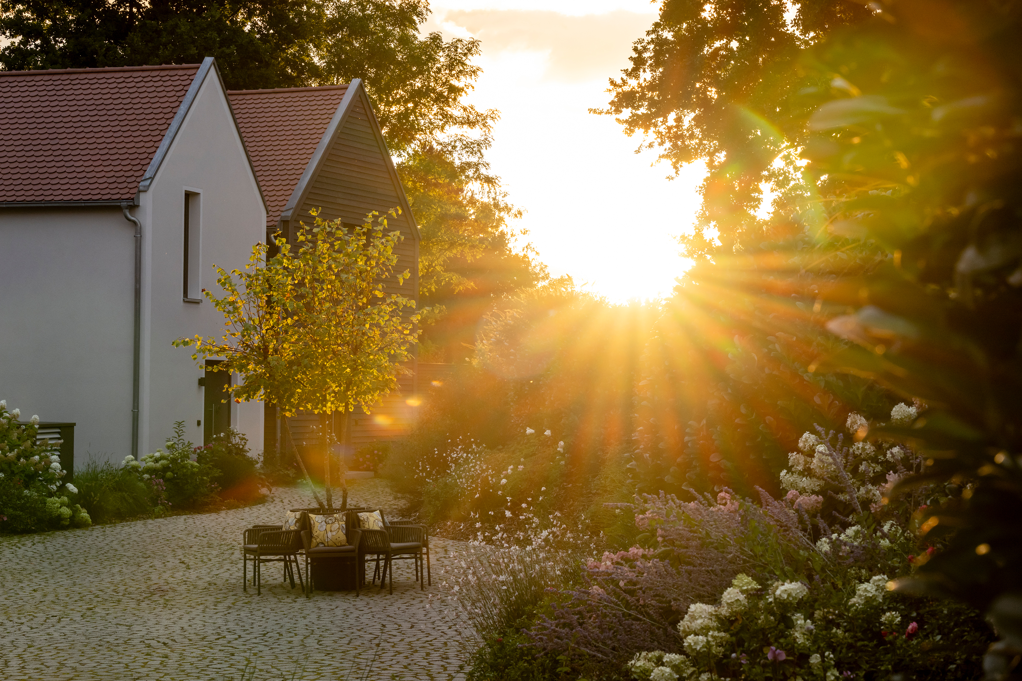 Urlaub-mit-Hund: Chaletdorf Büchelbergerei  - Haus | Umgebung