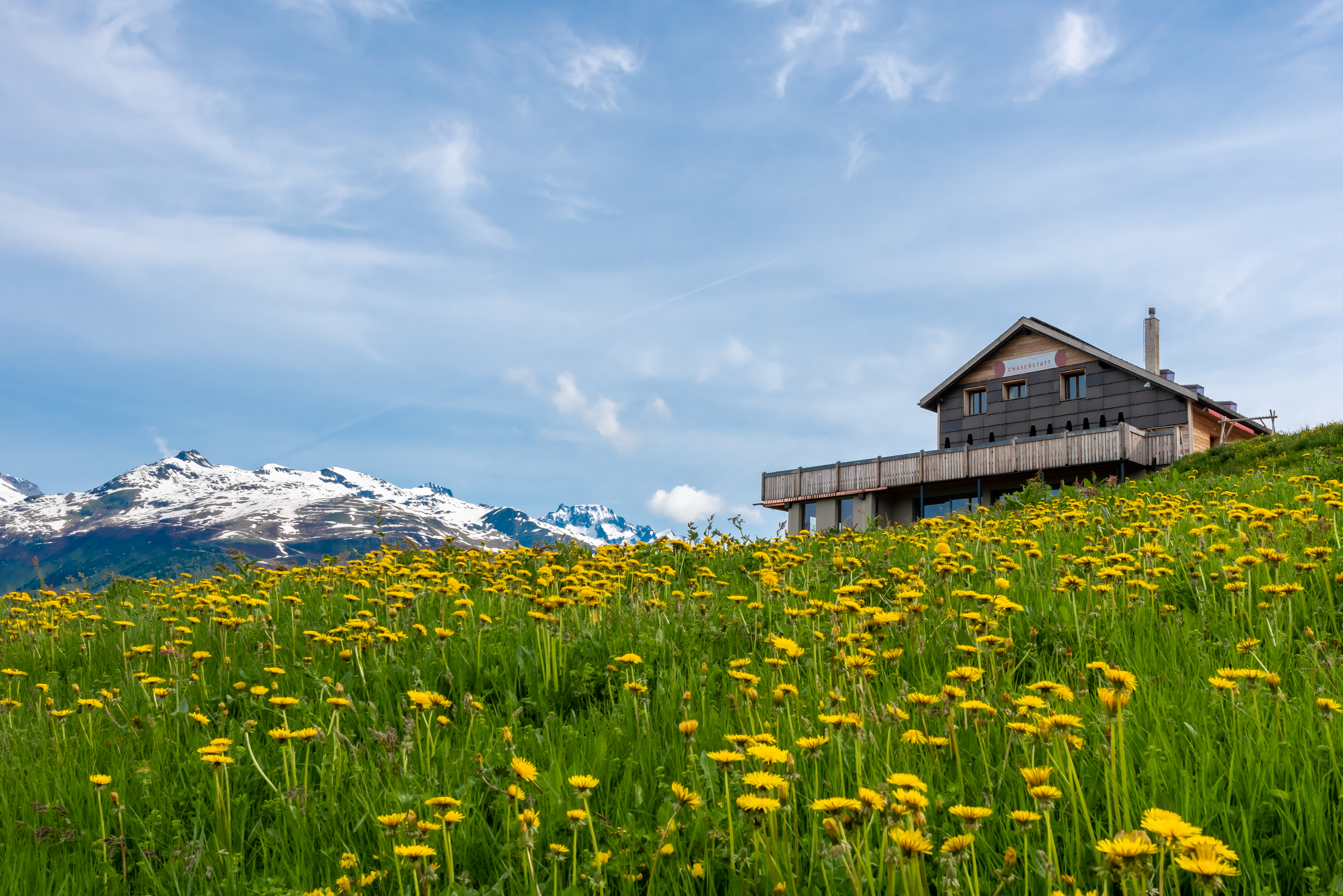 Hundehotel - Verpflegung: Frühstück - Grindelwald - Bergfrühling auf der Chäserstatt - Berg- und Seminarhotel Chäserstatt 