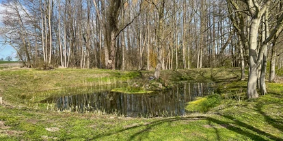 Hundehotel - Sauna - Grömitz - Ostsee Baumhaushotel Schleswig-Holstein