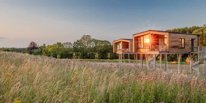 Hundehotel - Sauna - Grömitz - Ostsee Baumhaushotel Schleswig-Holstein