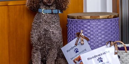 Hundehotel - Verpflegung: Halbpension - Baden-Württemberg - Handtücher zum trocknen - Sapia Hotel Rheinsberg