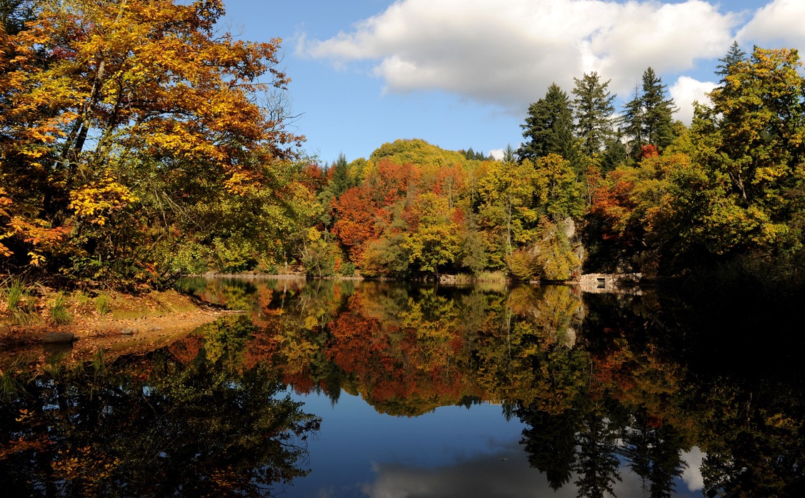 Urlaub-mit-Hund: Bergsee Bad Säckingen - Sapia Hotel Rheinsberg